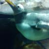 IMG_20110611_134245